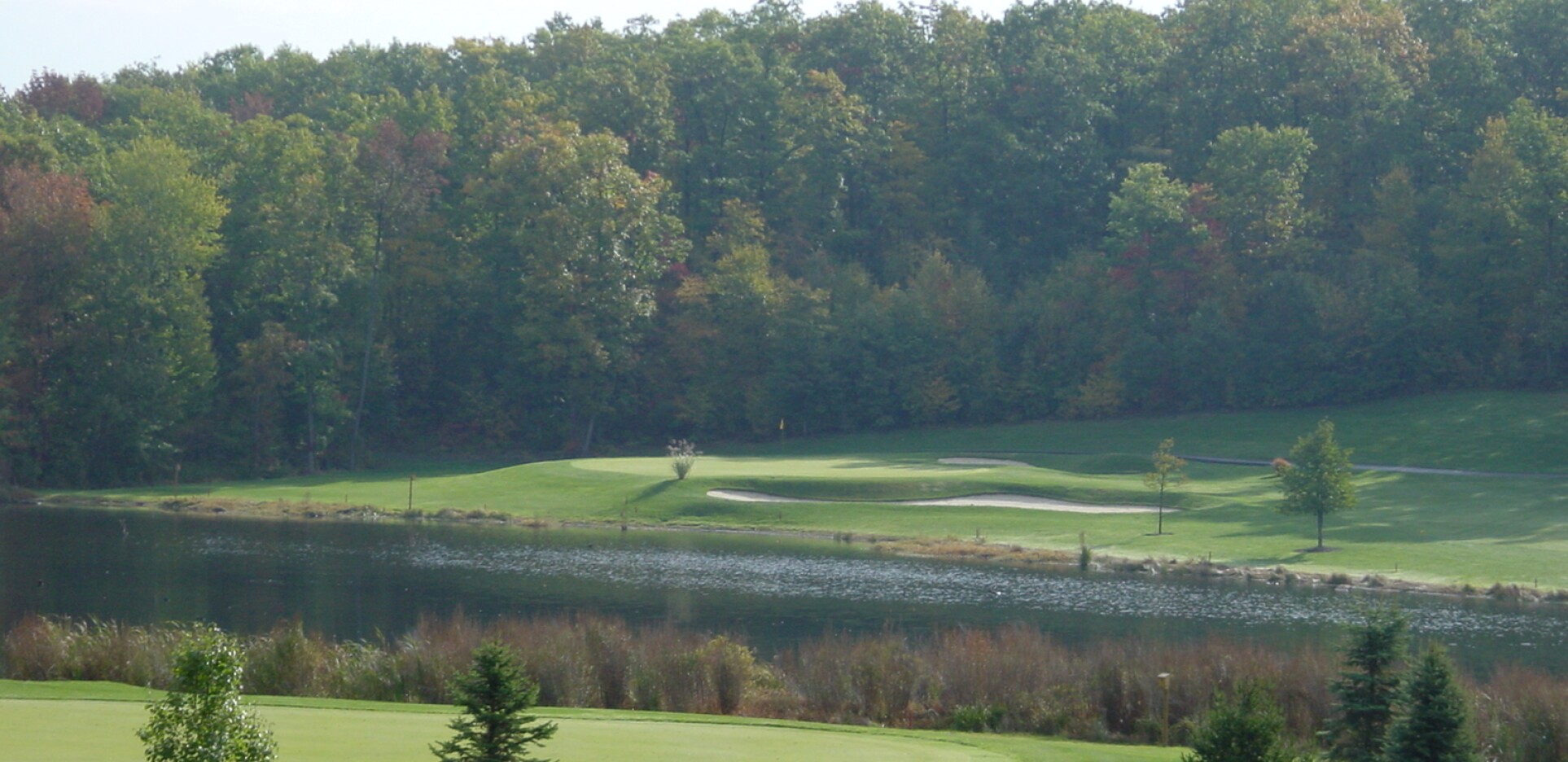 View of golf course green with trees